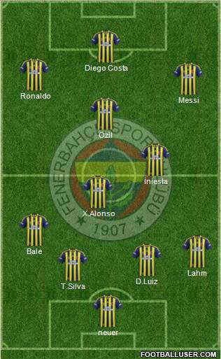 Fenerbahçe SK Formation 2013