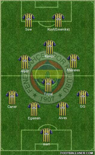 Fenerbahçe SK Formation 2013