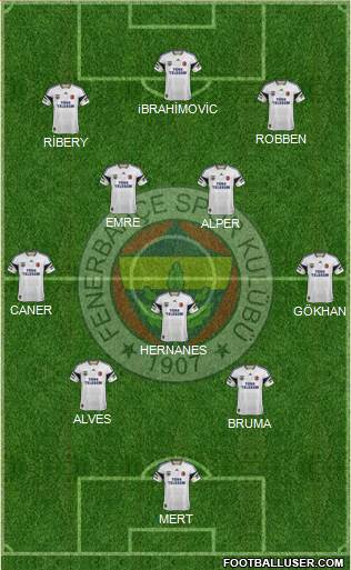 Fenerbahçe SK Formation 2013