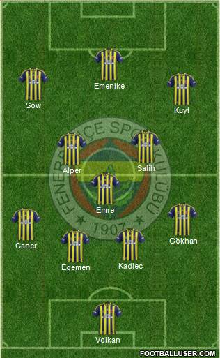 Fenerbahçe SK Formation 2013