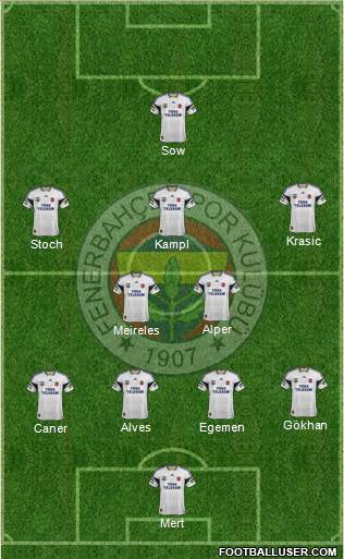Fenerbahçe SK Formation 2013