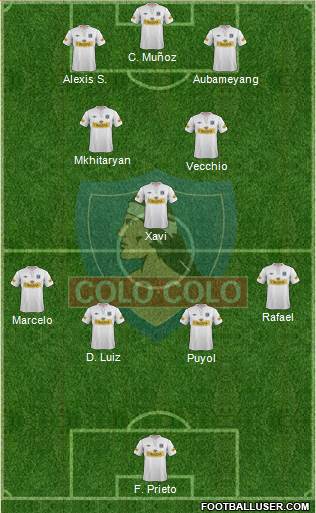 CSD Colo Colo Formation 2013