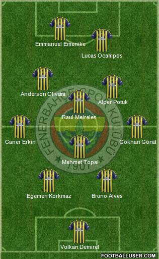 Fenerbahçe SK Formation 2013