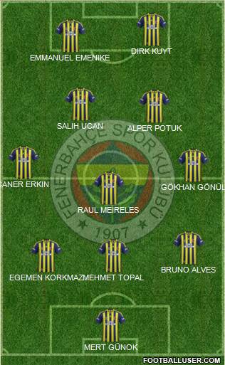 Fenerbahçe SK Formation 2013