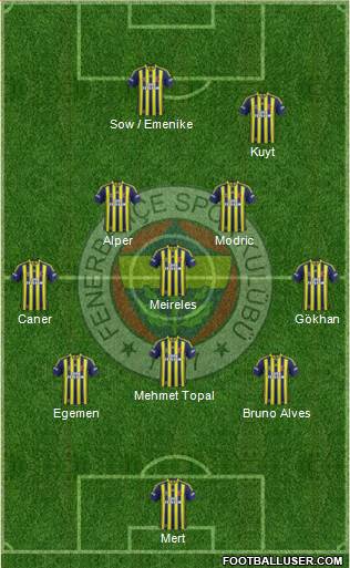 Fenerbahçe SK Formation 2013