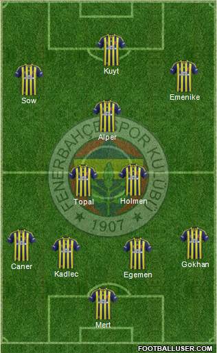 Fenerbahçe SK Formation 2013