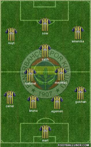 Fenerbahçe SK Formation 2013