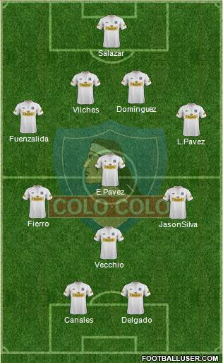 CSD Colo Colo Formation 2013