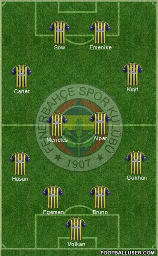 Fenerbahçe SK Formation 2013