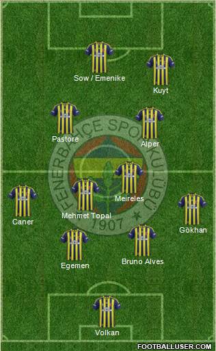 Fenerbahçe SK Formation 2013