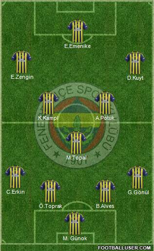 Fenerbahçe SK Formation 2013