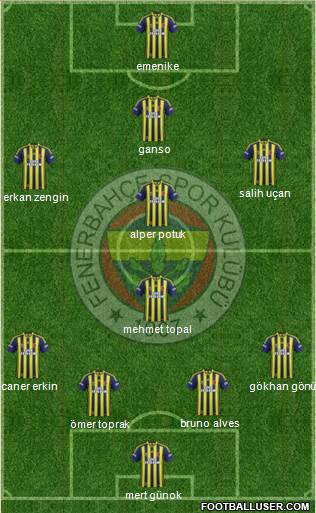 Fenerbahçe SK Formation 2013