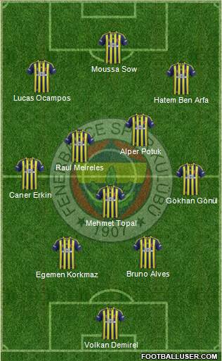Fenerbahçe SK Formation 2013