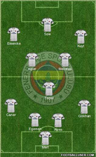 Fenerbahçe SK Formation 2013
