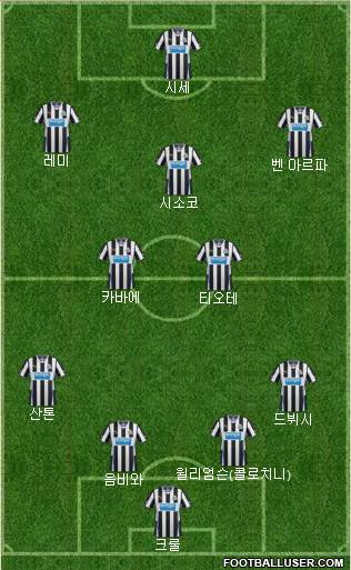 Newcastle United Formation 2013