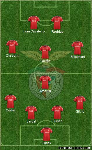 Sport Lisboa e Benfica - SAD Formation 2013