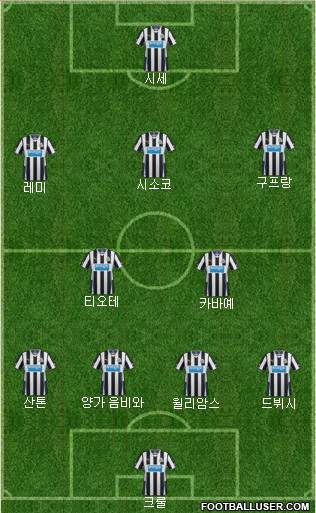 Newcastle United Formation 2013