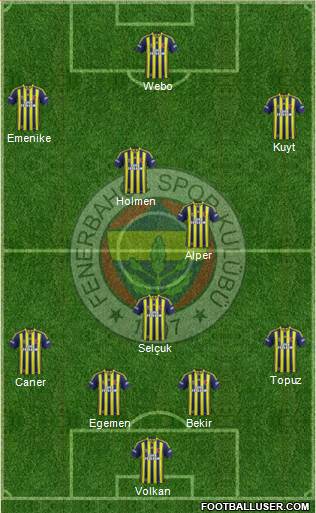 Fenerbahçe SK Formation 2013