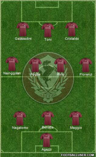 Arezzo Formation 2013