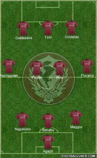 Arezzo Formation 2013