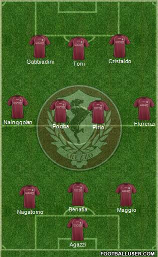 Arezzo Formation 2013