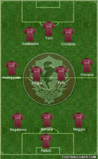 Arezzo Formation 2013