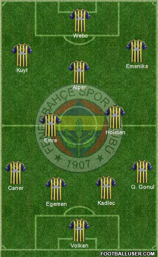 Fenerbahçe SK Formation 2013