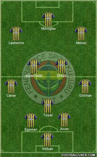 Fenerbahçe SK Formation 2013