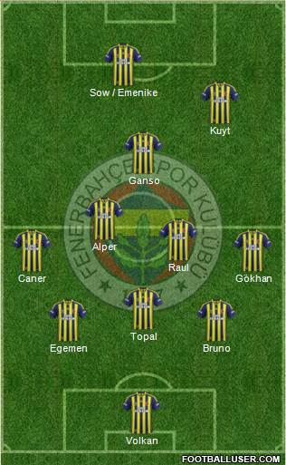 Fenerbahçe SK Formation 2013