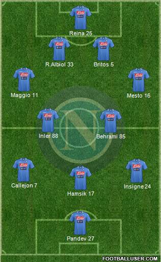 Napoli Formation 2013