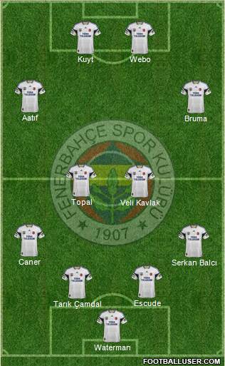 Fenerbahçe SK Formation 2013
