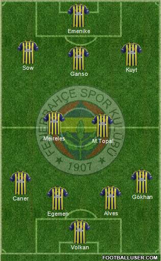 Fenerbahçe SK Formation 2013
