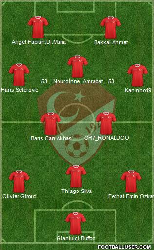 Turkey Formation 2013