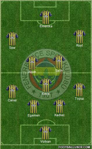 Fenerbahçe SK Formation 2013