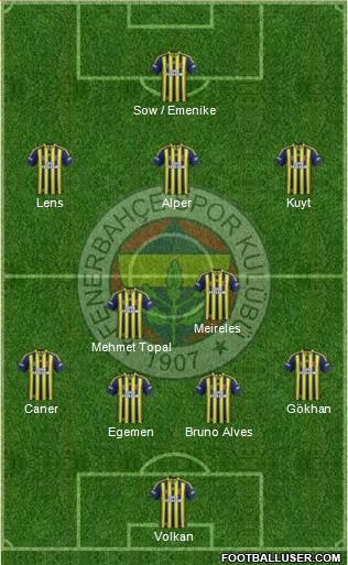 Fenerbahçe SK Formation 2013