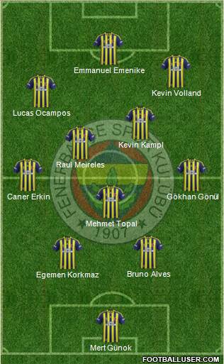 Fenerbahçe SK Formation 2013