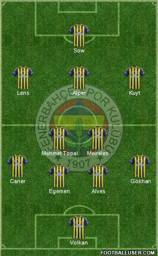 Fenerbahçe SK Formation 2013