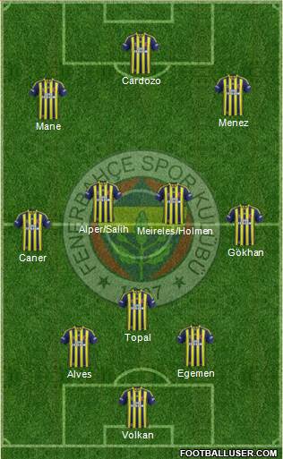 Fenerbahçe SK Formation 2013