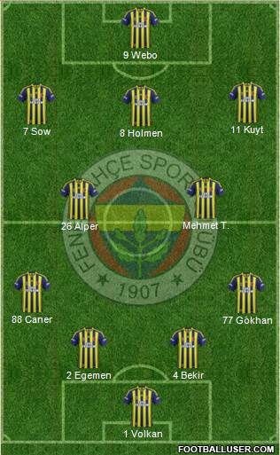 Fenerbahçe SK Formation 2013