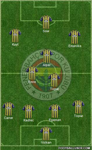 Fenerbahçe SK Formation 2013