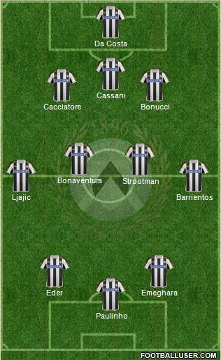 Udinese Formation 2013