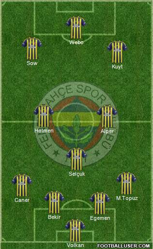Fenerbahçe SK Formation 2013