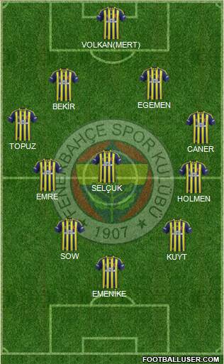 Fenerbahçe SK Formation 2013