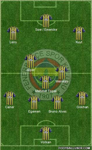 Fenerbahçe SK Formation 2013