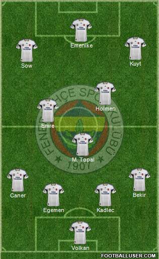Fenerbahçe SK Formation 2013