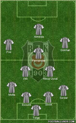 Besiktas JK Formation 2013