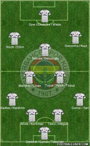 Fenerbahçe SK Formation 2013