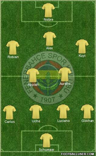 Fenerbahçe SK Formation 2013