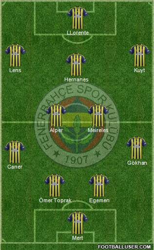 Fenerbahçe SK Formation 2013