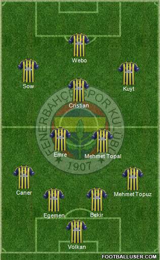 Fenerbahçe SK Formation 2013